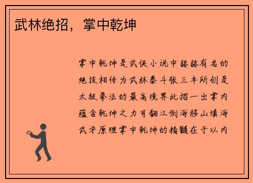 武林绝招，掌中乾坤